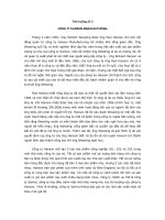 Tài liệu CÔNG TY HANSON MANUFACTURING ppt