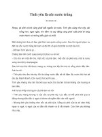 Tình yêu là cốc nước trắng 