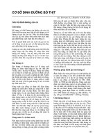 Tài liệu Nâng cao các kỹ năng về di truyền, sinh sản và lai tạo giống bò thịt nhiệt đới- chương 28 pptx