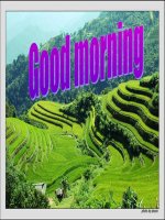 Bài soạn E7 revision for 1st term