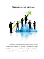 Tài liệu Phát triển cơ hội bán hàng pdf