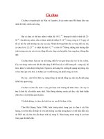 Tài liệu Cà chua pdf