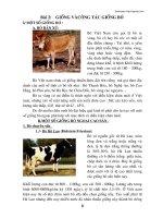 Tài liệu Chăn nuôi thú nhai lại - Bài 2 pdf