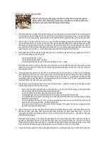 Tài liệu Phân tích - dự báo giá cổ phiếu ppt