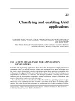 Tài liệu Grid Computing P23 pdf