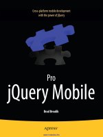 pro jquery mobile 
