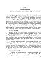 Tài liệu Giáo trình về Văn hóa kinh doanh quốc tế Chương 17+18 pptx