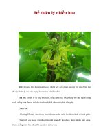 Tài liệu Để thiên lý nhiều hoa docx