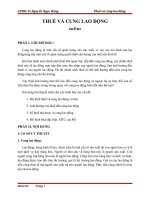 THUẾ và CUNG LAO ĐỘNG 