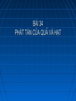 Tài liệu Bài 34: PHÁT TÁN CỦA QUẢ VÀ HẠT