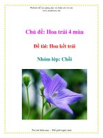 Tài liệu Chủ đề: Hoa trái 4 mùa - Đề tài: Hoa kết trái - Nhóm lớp: Chồi ppt