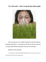 Tài liệu Trị viêm mũi - viêm xoang dị ứng bằng nghệ pptx