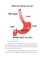 Tài liệu Bệnh loét đường tiêu hóa docx
