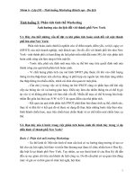 Phân tích tình thế Marketing Ảnh hưởng của du lịch đối với thành phố New York 