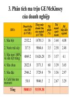 phân tích ma trận ge mc/kensey 