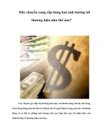 Tài liệu Dây chuyền cung cấp hàng hoá ảnh hưởng tới thương hiệu như thế nào? pptx