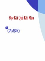 Tài liệu Giáo trình Đọc kết quả khí máu Gambro docx