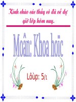 Bài soạn co quan sinh san thuc vat co hoa