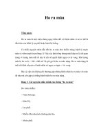 Tài liệu Giáo trình Ho ra máu pdf