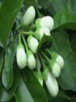 EBOOK - QUYỀN NĂNG TƯ TƯỞNG