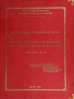 Một số giải pháp phát triển hoạt động xuất khẩu lao động tại chỗ ở việt nam 