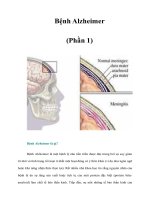 Tài liệu Bệnh Alzheimer (Phần 1) doc
