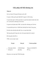 Tài liệu Giấy phép chế biến khoáng sản pptx