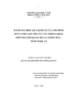 Đánh giá hiệu quả kinh tế   xã hội của mô hình xen canh cam với các loại cây trồng khác trên đất đỏ bazan nghĩa đàn   nghệ an 