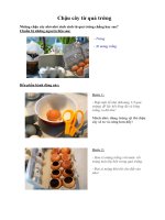 Tài liệu Chậu cây từ quả trứng ppt