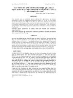 CÁC NHÂN TỐ ẢNH HƯỞNG ĐẾN HIỆU QUẢ HOẠT ĐỘNG KINH DOANH CỦA DOANH NGHIỆP NHỎ VÀ VỪA Ở THÀNH PHỐ CẦN THƠ