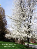 Tài liệu Nhu cầu khoáng