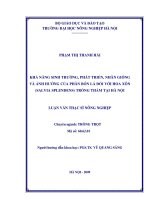Khả năng sinh trưởng phát triển, nhân giống và ảnh hưởng của phân bón lá dối với hoa xôn (SALVIA SPLENDENS) trồng thảm tại hà nội 