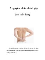 Tài liệu 2 nguyên nhân chính gây đau thắt lưng docx
