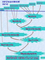 Gián án tiến hóa lớn