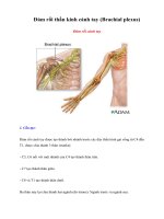 Tài liệu Giáo trình Đám rối thần kinh cánh tay (Brachial plexus) doc