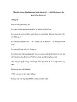 Tài liệu Cấp giấy chứng nhận hoạt động kiểm định xe cơ giới cho các Trung tâm Đăng kiểm doc