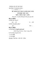 Tài liệu Đề khảo sát chất lượng đầu năm 2010-2011