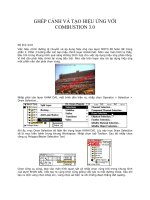 Tài liệu Ghép cảnh và tạo hiệu ứng với Combustion P3 docx