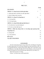 Xử lý số liệu thống kê bằng ngôn ngữ lập trình visual basic 6 0 