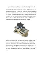 Tài liệu Nguồn tài trợ trung dài hạn cho các doanh nghiệp vừa và nhỏ pptx