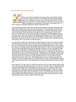 Tài liệu Phương pháp trồng chanh không hạt pptx