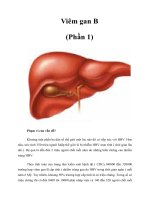 Tài liệu Viêm gan B (Phần 1) pdf