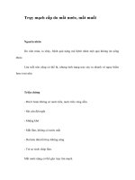 Tài liệu Trụy mạch cấp do mất nước, mất muối doc