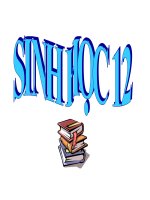 Tài liệu Chu trình sinh địa hóa và sinh quyển