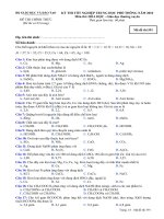 Tài liệu Đề thi chính thức kỳ thi tốt nghiệp THPT 2010 môn Hóa - Giáo dục thường xuyên (Mã đề thi 591) pptx