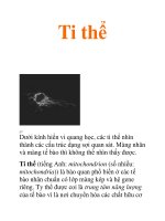 Tài liệu Tự nhiên,sinh học,ATP,vi khuẩn,tế bào, ti thể ppt