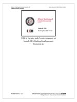 Ethical Hacking and Countermeasures v6  module 13 hacking email accounts 