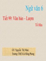 Gián án van ban : Luom
