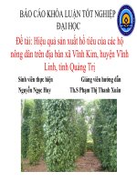 Slide hiệu quả sản xuất hồ tiêu của các hộ nông dân trên địa bàn xã vĩnh kim, huyện vĩnh linh, tỉnh quảng trị 