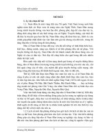 Nho sĩ nam đàn trong sự nghiệp xây dựng và bảo vệ quê hương, đất nước thế kỷ XIX 